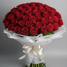 Букет 101 Красная роза Блэк Мэджик в Софьино