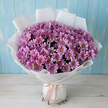 Букет цветов из:  Хризантемы #REPLACE_PRED# Софьино