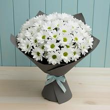 Букет цветов из:  Хризантемы в Софьино