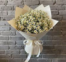 Букет цветов из:  Ромашки в Софьино