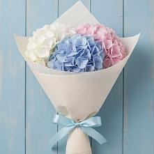 Букет цветов из:  Гортензия #REPLACE_PRED# Софьино