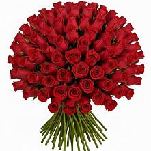 Букет Красные розы Чери Лав в Софьино