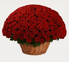 Премиум букет из: Розы в Софьино