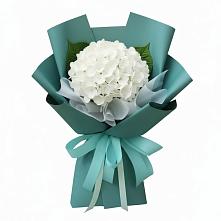Букет цветов из:  Гортензия #REPLACE_PRED# Софьино